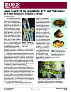 Acute Toxicity of the Lampricides TFM and Niclosamide to Three Species of Unionid Mussels By Michael A. Boogaard The sea lamprey (Petromyzon marinus), a jawless parasitic eel-like fish native to the Atlantic Ocean