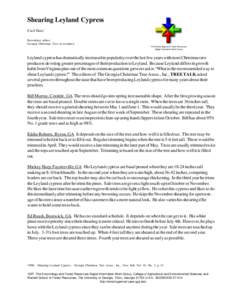 Shearing Leyland Cypress Cecil Hess1 Newsletter editor, Georgia Christmas Tree Association The Entomology and Forest Resources Digital Information Work Group