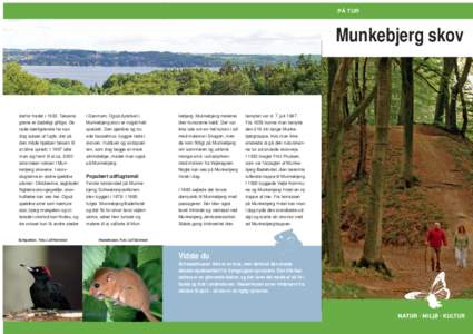 PÅ TUR  Munkebjerg skov derfor fredet i[removed]Taksens grene er dødeligt giftige. De