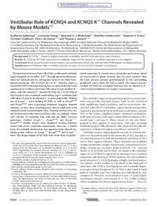 Nervous system / Proteins / Cellular neuroscience / KCNQ4 / Vestibular system / Saccule / KvLQT2 / KvLQT3 / Hair cell / Biology / Ion channels / Electrophysiology