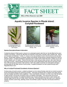 RHODE ISLAND DEPARTMENT OF ENVIRONMENTAL MANAGEMENT  FACT SHEET Office of Water Resources / June[removed]Aquatic Invasive Species in Rhode Island: