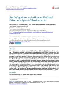 Shark Cognition and a Human Mediated Driver of a Spate of Shark Attacks