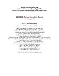 2013 BSR Review Committee Report