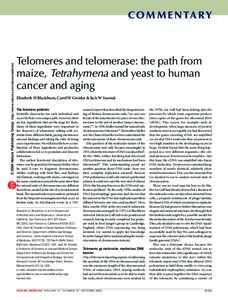 © 2006 Nature Publishing Group http://www.nature.com/naturemedicine  C O M M E N TA RY Telomeres and telomerase: the path from maize, Tetrahymena and yeast to human