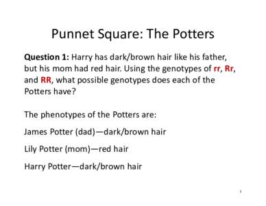Punnet Square: The Potters    Question 1: Harry has dark/brown hair like his father,  but his mom had red hair. Using the genotypes of rr, Rr,  and RR, what possible genotypes does each o