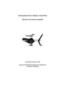 International (East Atlantic) Action Plan Roseate Tern Sterna dougallii Final Draft, December 1999 Prepared by BirdLife international on behalf of the European Commission