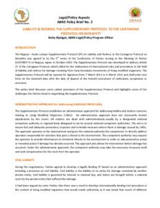 Legal/Policy Aspects ABNE Policy Brief No. 2 LIABILITY & REDRESS: THE SUPPLEMENTARY PROTOCOL TO THE CARTAGENA PROTOCOL ON BIOSAFETY Betty Kiplagat, ABNE Legal/Policy Program Officer INTRODUCTION