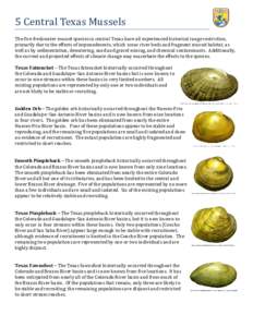 5 Central Texas Mussels Factsheet