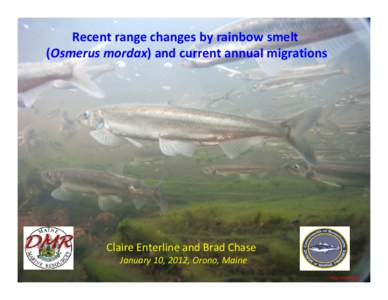 Recent range changes by rainbow smelt (Osmerus mordax) and current annual migrations Claire Enterline and Brad Chase January 10, 2012, Orono, Maine Alex Mansfield