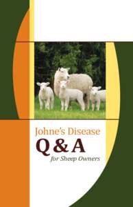 Johnes Sheep Q&A booklet.indd