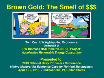Brown Gold: The Smell of $$$  Tom Cox: UW Ag&Applied Economics On behalf of  UW Biomass R&D Initiative (BRDI) Project: