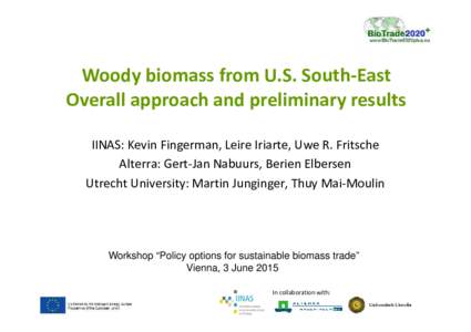 3a_BioTrade2020 -Workshop_Biomass Trade_Vienna_150603_IINAS