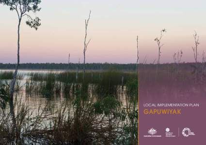 Indigenous Australians / East Arnhem Shire / Gapuwiyak /  Northern Territory / Australian Aboriginal culture