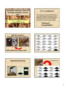 Landscape architecture / Roundup / Glyphosate / Paraquat / Atrazine / Evolutionary pressure / 2 / 4-Dichlorophenoxyacetic acid / Agriculture / Pesticide resistance / Herbicides / Chemistry / Organic chemistry