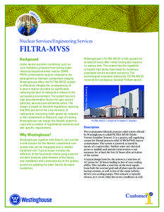 Nuclear Services/Engineering Services  FILTRA-MVSS