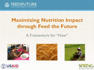 Maximizing Nutrition Impact Through Feed the Future