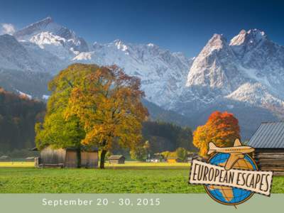 Edelweiss Lodge and Resort / Zugspitze / Munich / Ammergau / Ettal / Leontopodium alpinum / Edelweiss / States of Germany / Bavaria / Garmisch-Partenkirchen