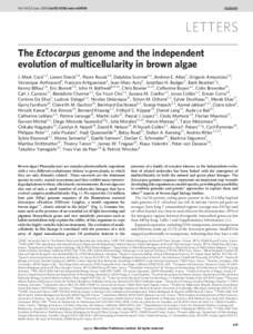 Vol 465 | 3 June 2010 | doi:nature09016  LETTERS The Ectocarpus genome and the independent evolution of multicellularity in brown algae J. Mark Cock1,2, Lieven Sterck3,4, Pierre Rouze´3,4, Delphine Scornet1,2, A