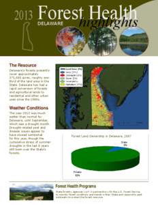 Sirex woodwasp / Siricidae / Pinus taeda / Mountain pine beetle / Delaware / Cape Henlopen State Park / Forest / Geography of the United States / Flora of the United States / Geography of Pennsylvania