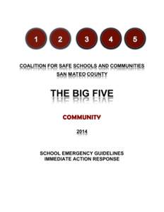 COALITION FOR SAFE SCHOOLS AND COMMUNITIES SAN MATEO COUNTY THE BIG FIVE COMMUNITY 2014