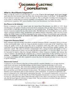 What Is a Rural Electric Cooperative? When you flip the switch you expect the lights to go on. But, if you’re like most people, you’ve never thought much about how the electricity races down the wires from the power 