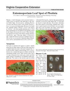 publication[removed]Entomosporium Leaf Spot of Photinia M. A. Hansen, and Extension Plant Pathologist, Department of Plant Pathology, Physiology, and Weed Science, Virginia Tech