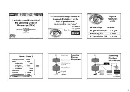 Microsoft PowerPoint - Limitations-Potential-SEM-Iolo_printout.ppt