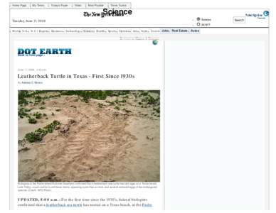 Leatherback Turtle in Texas - First Since 1930s - Dot Earth - Climate Change and Sustainability - New York Times Blog