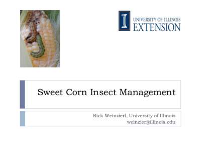 Sweet Corn Insect Management Rick Weinzierl, University of Illinois  Sweet corn insect pests 