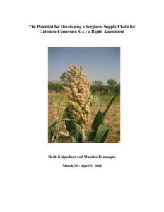 The Potential for Developing a Sorghum Supply Chain for Guinness Cameroun S.A.: a Rapid Assessment Henk Knipscheer and Maurice Kenmogne March 29 - April 5, 2008