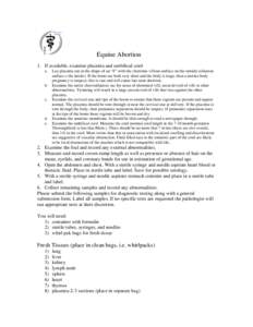 Microsoft Word - Equine Abortion.doc