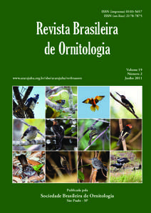 Pará / Serra do Cachimbo / Cerrado / Curl-crested Jay / Brazilian Highlands / Roadside Hawk / Barred Forest Falcon / Geography / Regions of South America / Physical geography