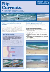 Beach Safety  Rip Currents.  www.beachsafe.org.au