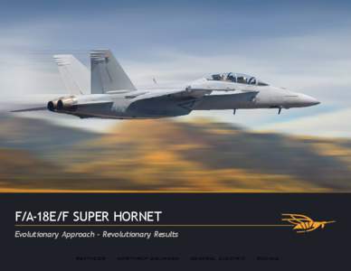 F/A-18E/F SUPER HORNET Evolutionary Approach - Revolutionary Results RAYTHEON