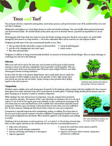 Trees and Turf Tree and grass selection, competition among plants, maintenance practices, and special situations must all be considered when trees and turf share a landscape. Woody plants and turfgrasses are critical des