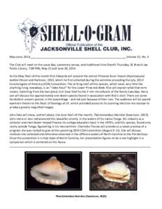 Euopisthobranchia / Strombidae / Biological oceanography / Carbon / Ocean acidification / Pteropoda / Conch / Carbon dioxide / Chemistry / Phyla / Protostome