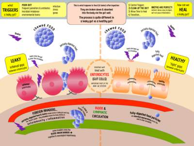 what  TRIGGERS a leaky gut?  POOR DIET