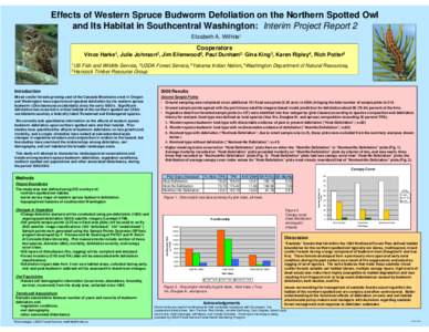 Effects of Western Spruce Budworm Defoliation on the Northern Spotted Owl and Its Habitat in Southcentral Washington: Interim Project Report 2