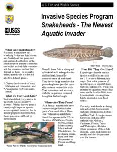 U.S. Fish and Wildlife Service  Invasive Species Program