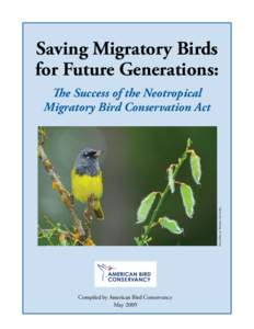 Saving Migratory Birds for Future Generations: MacGillivray’s Warbler: Ted Ardley  The Success of the Neotropical