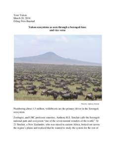 Your Yukon March 28, 2014 Erling Friis-Baastad Yukon ecosystems as seen through a Serengeti lens: and vice versa