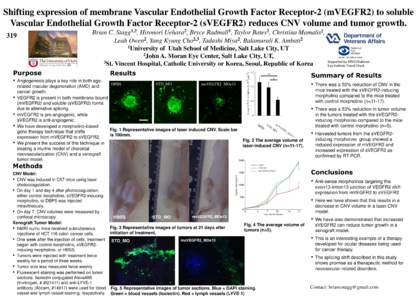 Shifting expression of membrane Vascular Endothelial Growth Factor Receptor-2 (mVEGFR2) to soluble Vascular Endothelial Growth Factor Receptor-2 (sVEGFR2) reduces CNV volume and tumor growth. 1,2 Stagg ,  Purpose