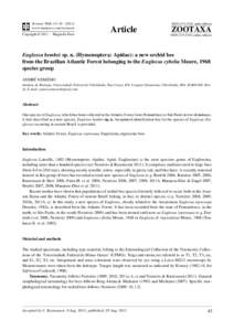 Euglossa bembei sp. n. (Hymenoptera: Apidae): a new orchid bee from the Brazilian Atlantic Forest belonging to the Euglossa cybelia Moure, 1968 species group