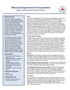 dmv agent performance report lean project