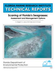 FLORIDA MARINE RESEARCH INSTITUTE  TECHNICAL REPORTS Scarring of Florida’s Seagrasses: Assessment and Management Options F.J. Sargent, T.J. Leary, D.W. Crewz and C.R. Kruer