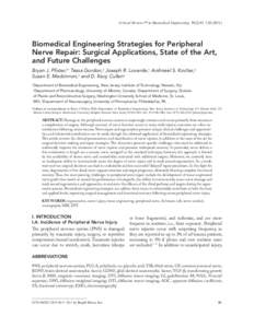 Neuroanatomy / Neurotrauma / Soft tissue / Neurophysiology / Axonotmesis / Peripheral nerve injury classification / Neuroregeneration / Nerve injury / Peripheral nerve injury / Anatomy / Biology / Nervous system