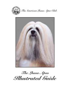 TheAmerican Lhasa Apso Club  The Lhasa Apso Illustrated Guide