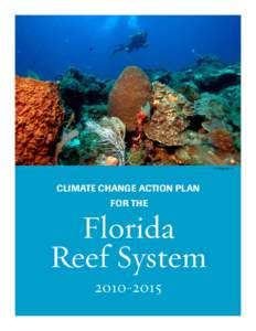 © Jiangang Luo  Climate Change Action Plan for the  Florida