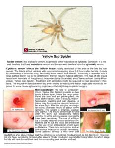 Yellow Sac Spider Spider venom, like snakebite venom, is generally either neurotoxic or cytotoxic. Generally, it is the web dwellers that have neurotoxic venom and the non-web dwellers have the cytotoxic venom. Cytotoxic