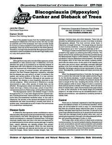 Oklahoma Cooperative Extension Service  EPP-7620 Biscogniauxia (Hypoxylon) Canker and Dieback of Trees